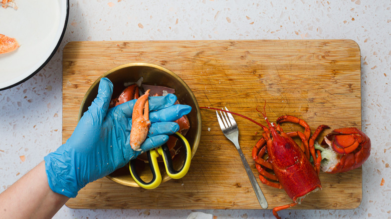 Hand holding lobster claw over bowl with debris and scissors