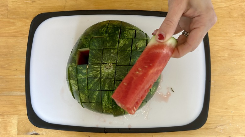 Stick of watermelon