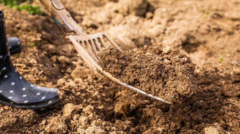 Rake digging into soil with person's rain boot visible