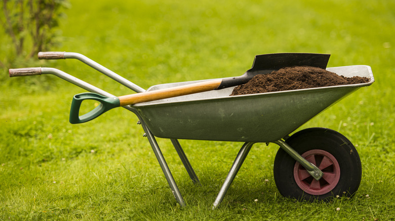 Wheelbarrow filled with soil and shovel
