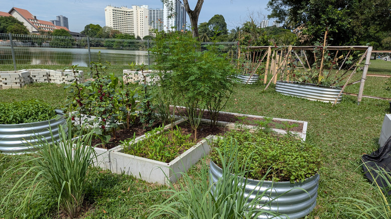 Raised beds made of various materials