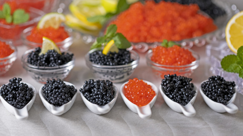 Spoons of black and orange caviar on a table