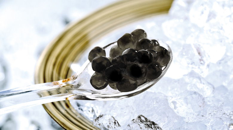 A spoonful of caviar over ice
