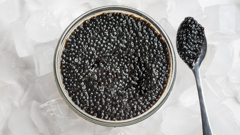 Black sturgeon caviar in a glass jar and a spoon with caviar