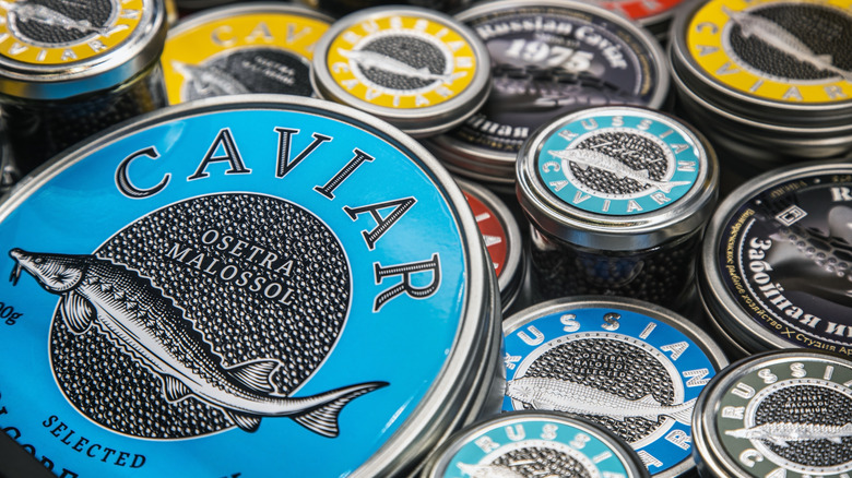 Multiple tins of caviar on display at a shop