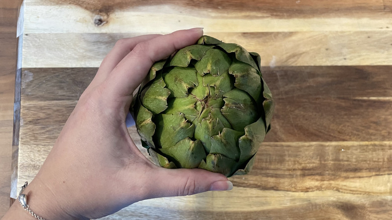 holding a tightly packed artichoke