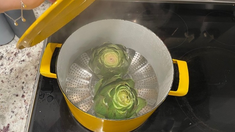 Steamer basket in pot with water