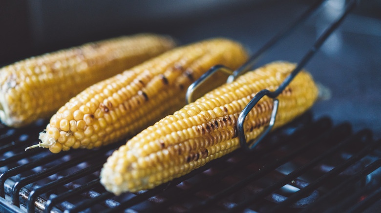 Close-up of three ears of corn prepared on a grill, with one held by tongs
