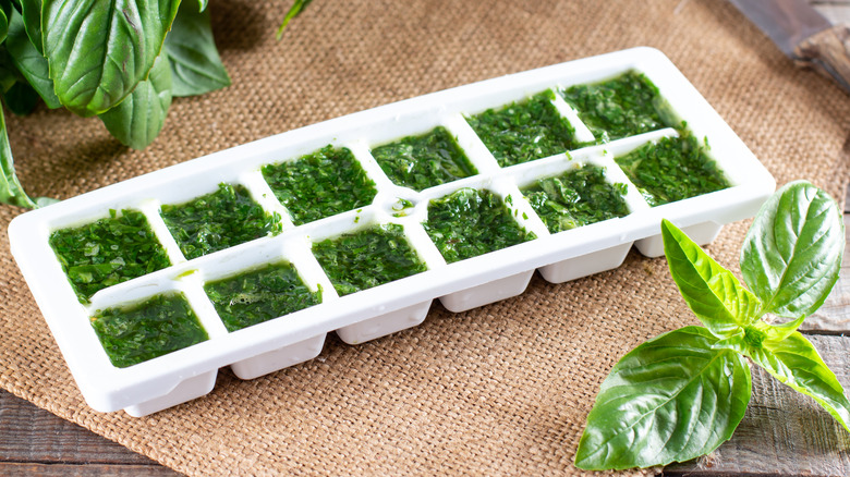 Basil ready to be frozen in an ice cube tray