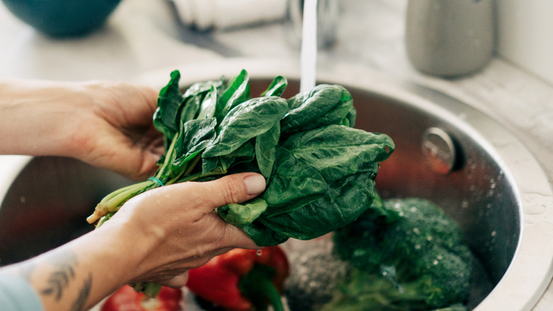 A hand washing leafing greens under running water.