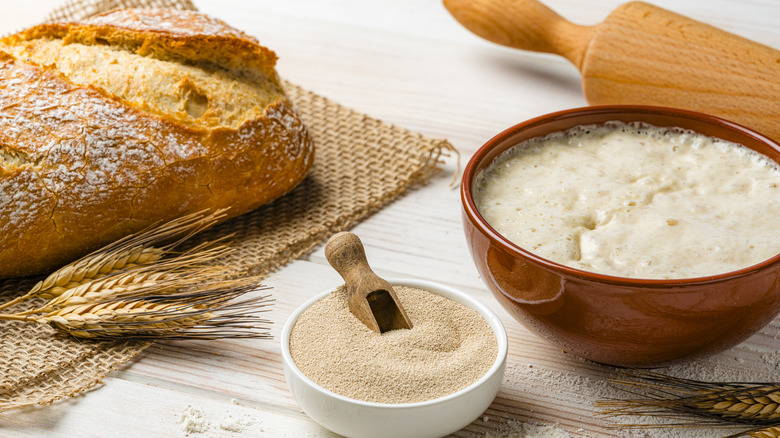 Bread loaf with yeast and dough