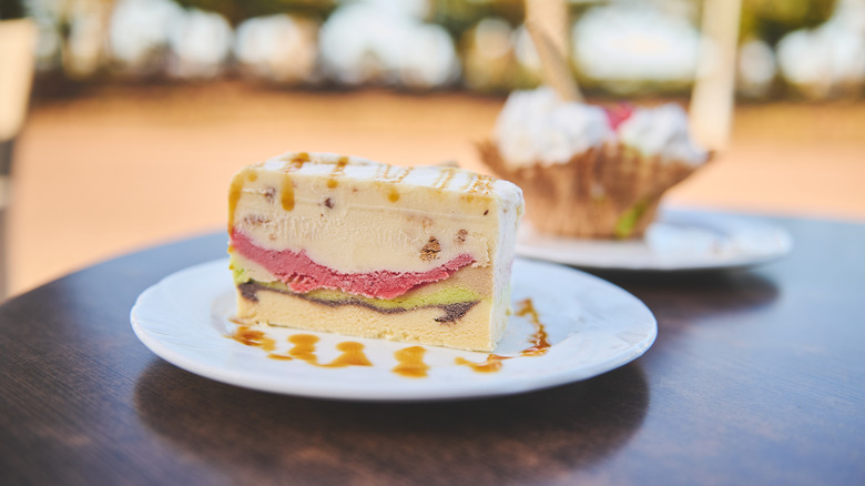Slice of multicolored ice cream cake