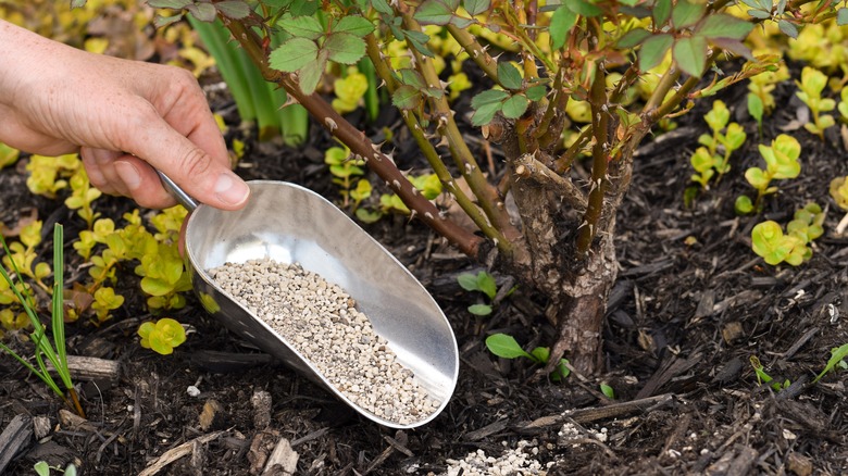 Person shoveling up dirt and pebbles with a gardening scoop