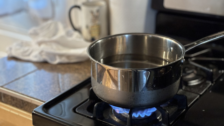 medium-sized saucepan full of boiling water on stove