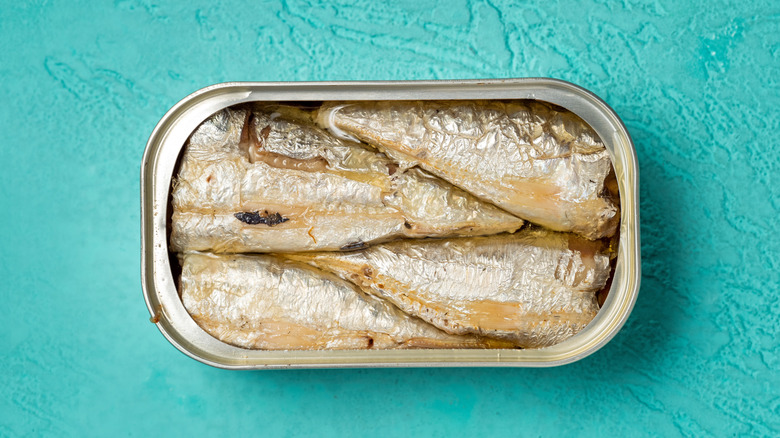 tinned fish on turquoise background