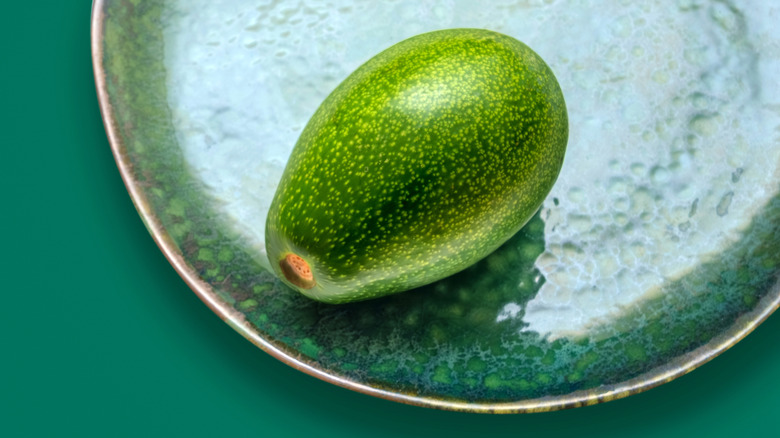 bright green plate with avocado on it