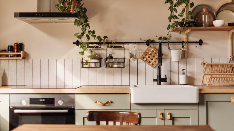 kitchen with plants and implements in background