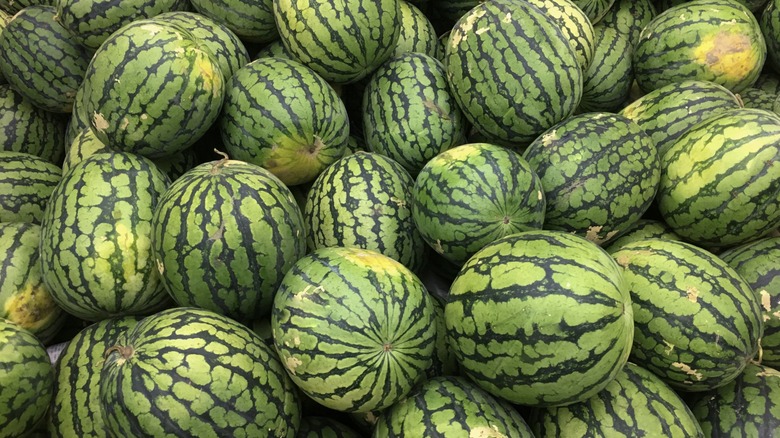 A substantial pile of watermelons