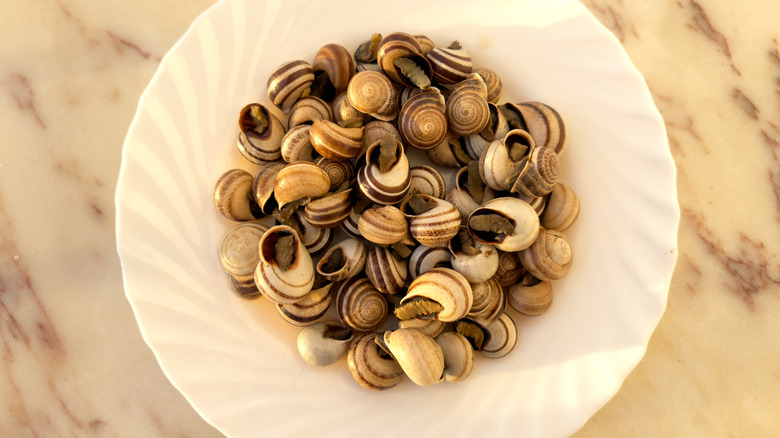 a plate of escargot  on a marble table