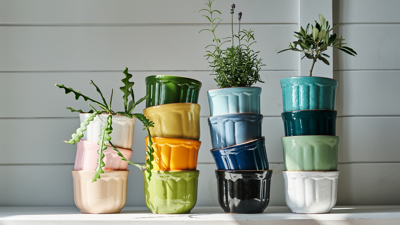 multicolored stacked pots with plants growing in them