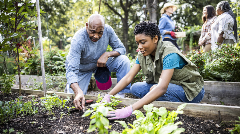 two people working at community garden