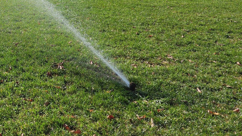 sprinkler spraying large field