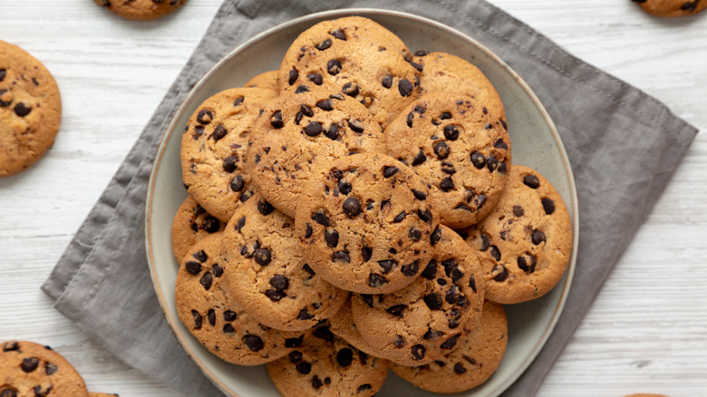 Homemade chocolate chip cookies on a white plate