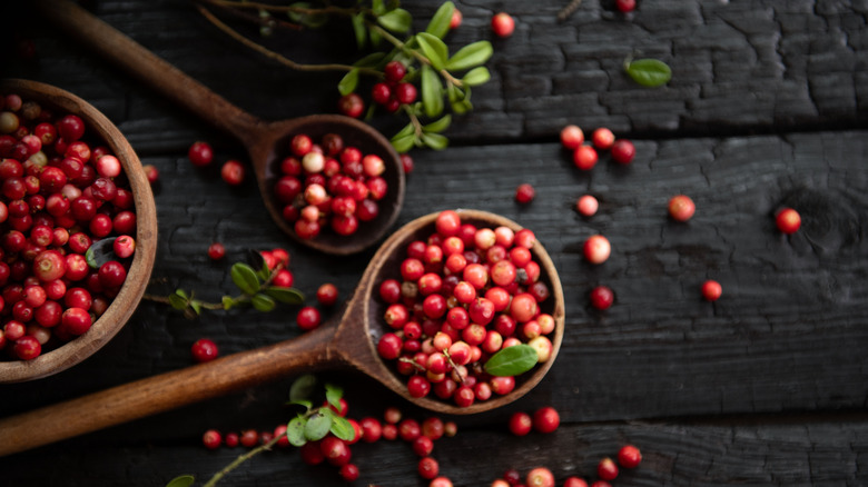 cranberries in a bowl on a dark wooden background