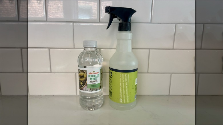 Vinegar and spray bottle