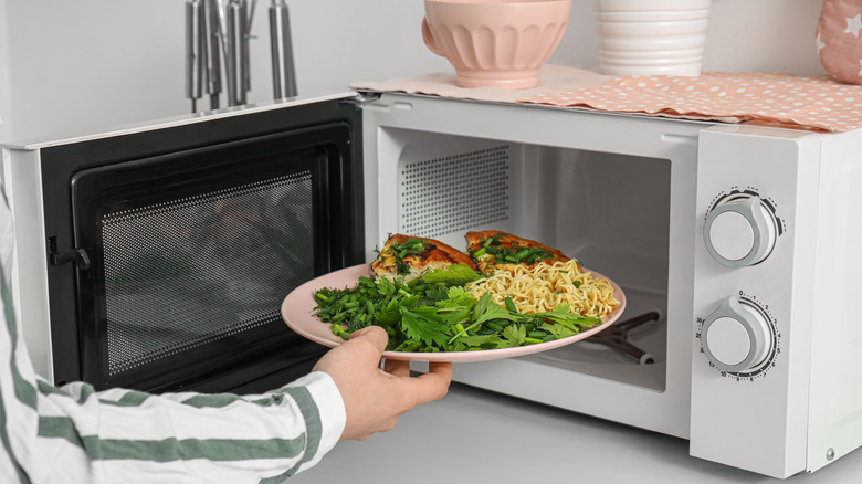 Plate with different food components placed in the microwave