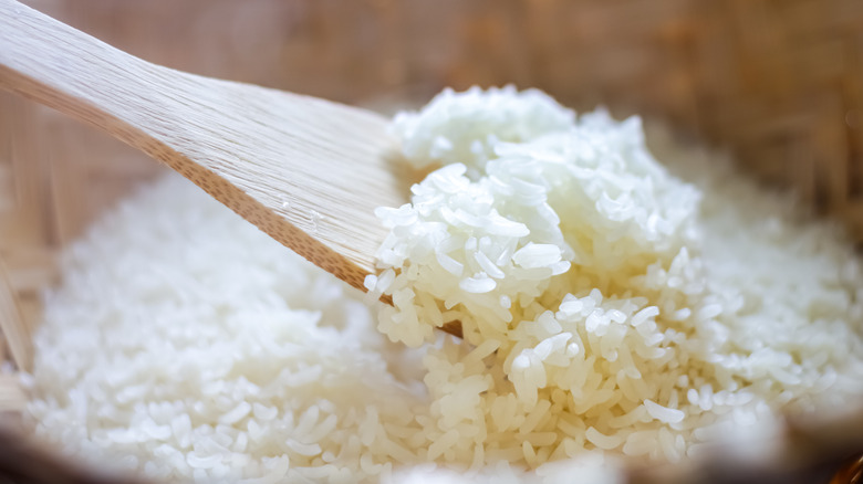 A close-up picture of cooked rice