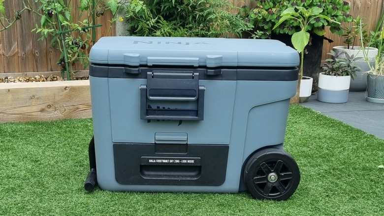 Portable cooler in grass