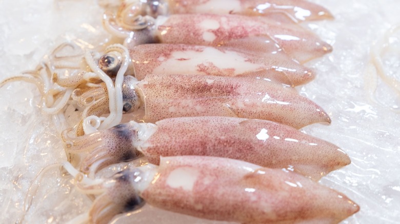 Whole squids on ice
