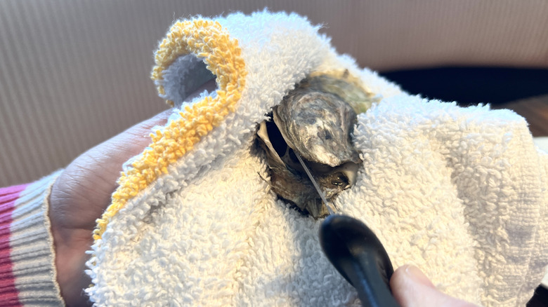 Hands prying open oyster with knife