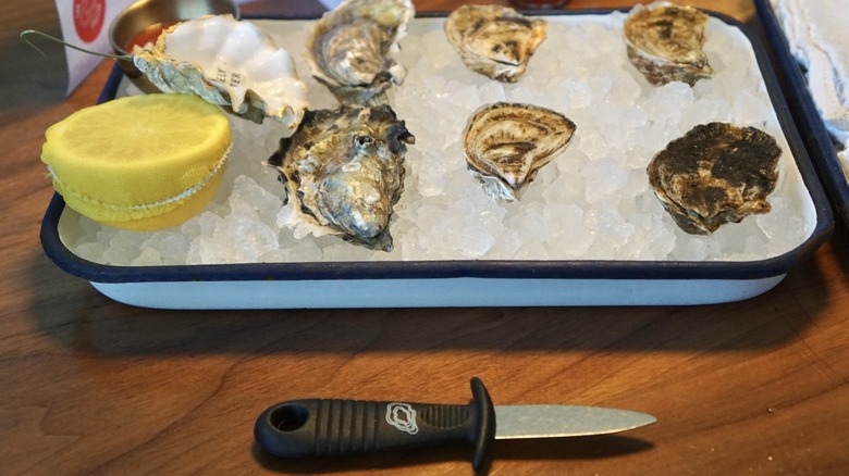 Oysters and shucking knife
