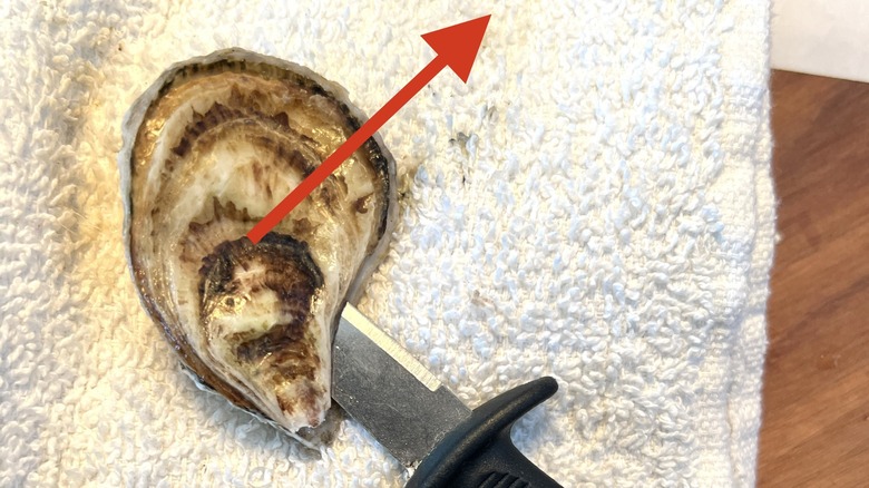 Oyster with a knife inside
