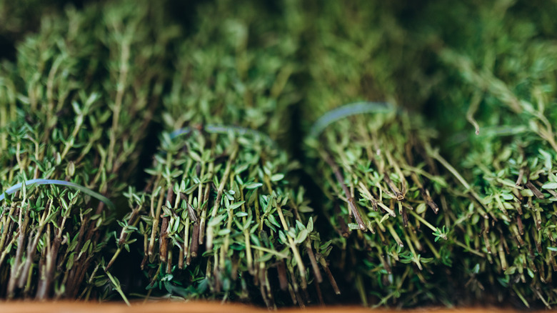 Photo of bundles of fresh rosemary