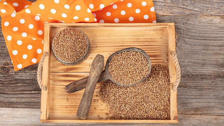 Coriander seeds on table