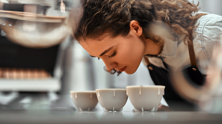 A person is seen leaning over a set of three coffee cups to evaluate their merits.