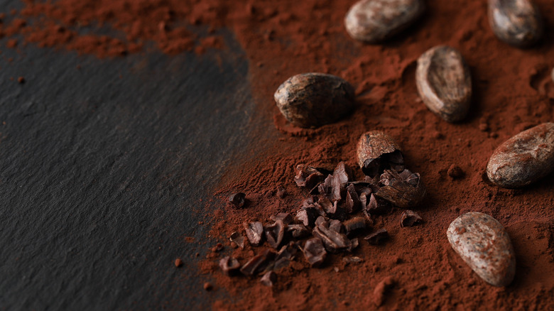 crushed cocoa beans on cocoa powder
