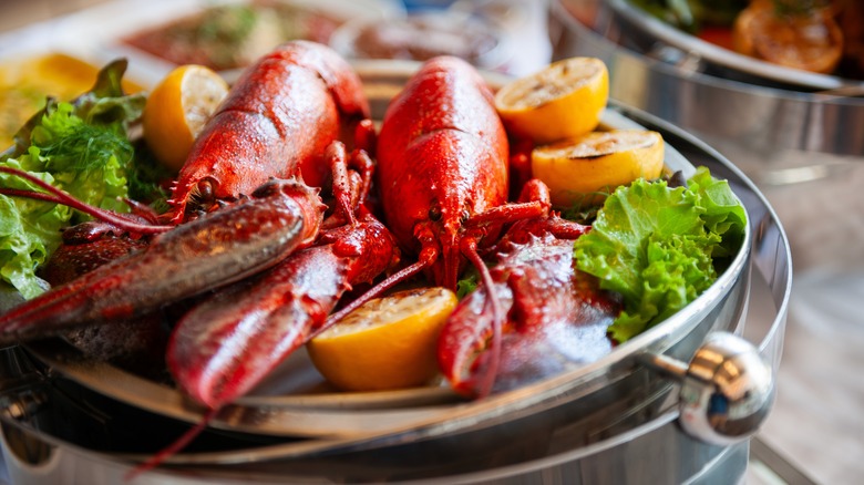Lobster in a boiling bowl of water with citrus and lettuce