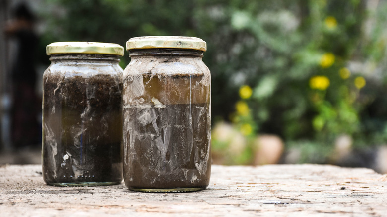 jars full of soil and water