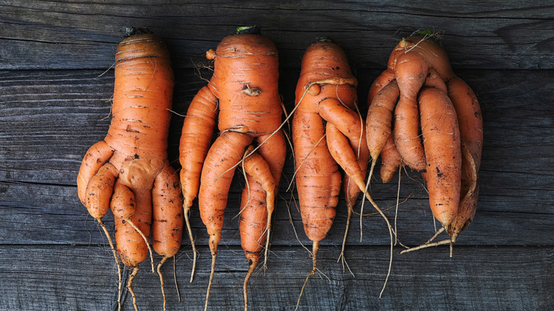 misshapen carrots sitting on a wooden table