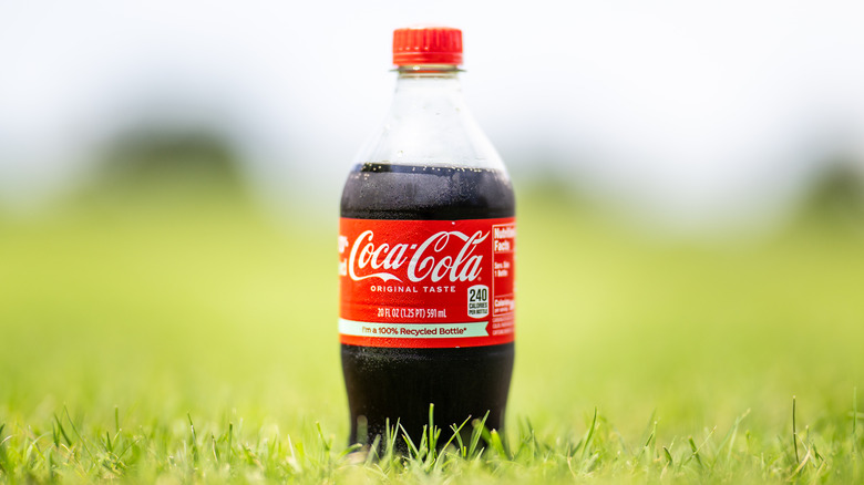 A 20 oz bottle of Coke in a field
