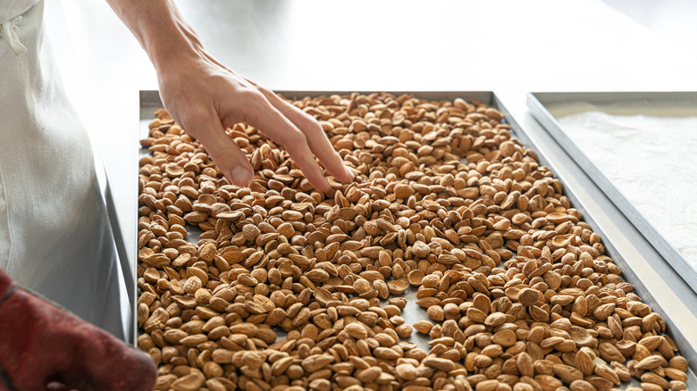 Baker handling nuts on baking sheet
