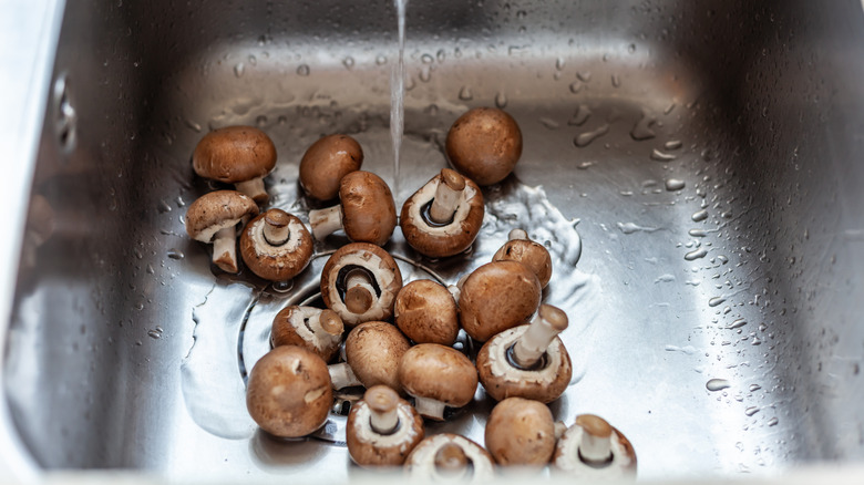 Raw mushrooms in sink