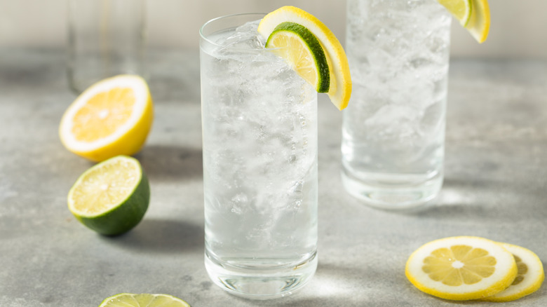 Glass of clear soda with citrus