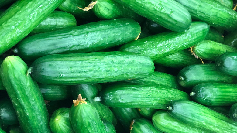 Green cucumbers in a pile