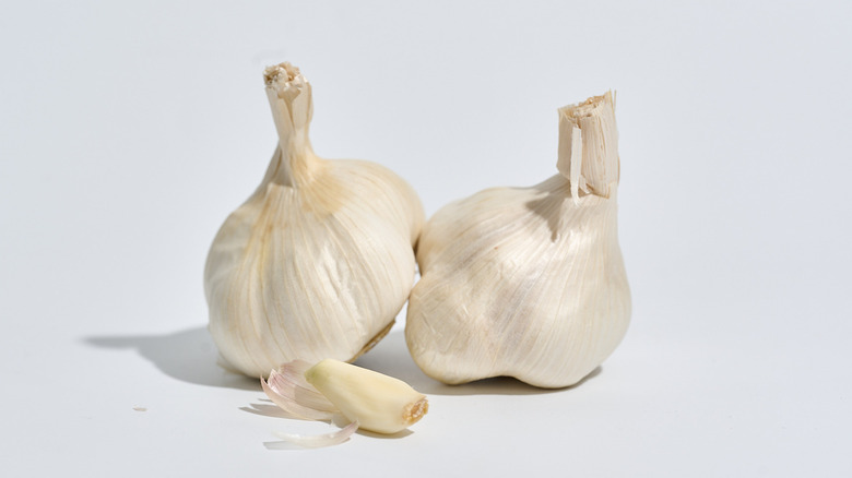 Garlic bulbs on a table with a peeled garlic clove