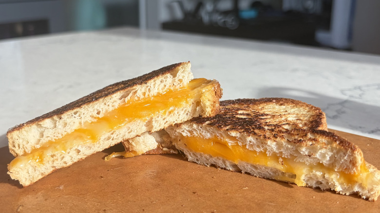 A halved grilled cheese sandwich made with Colby Jack cheese sits on a cutting board